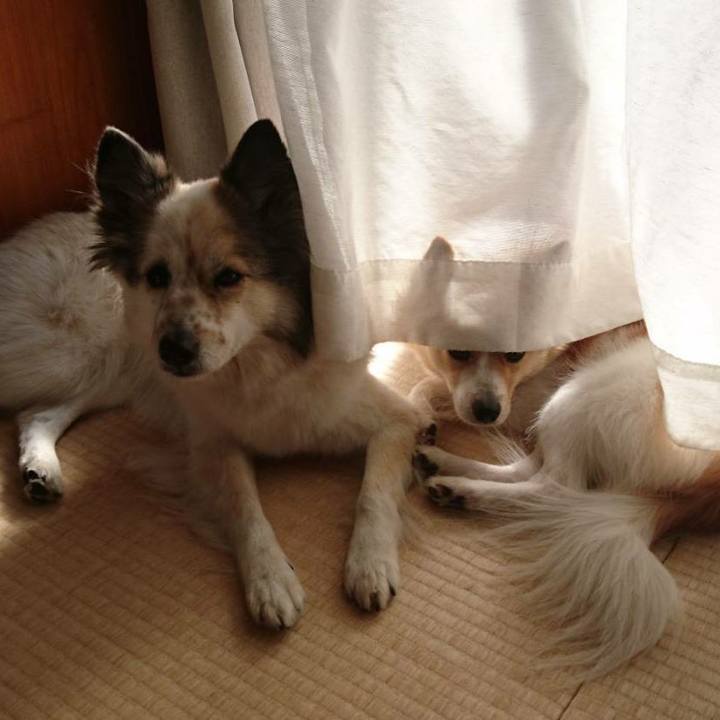 E39e1a1a 51b3 4d08 bf99 1901d6927ff3 1516923071805