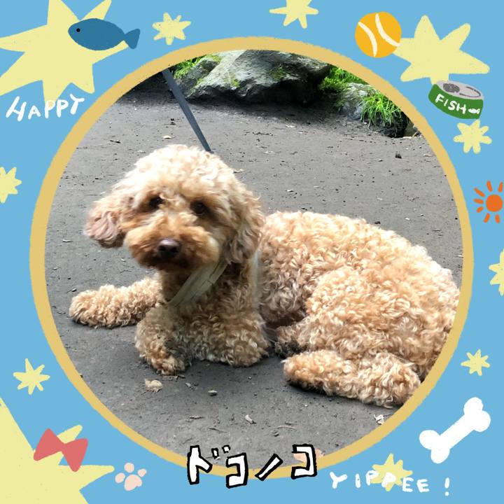 E39e3479 1db2 4180 872a 1fc15b74f173 1720753313334