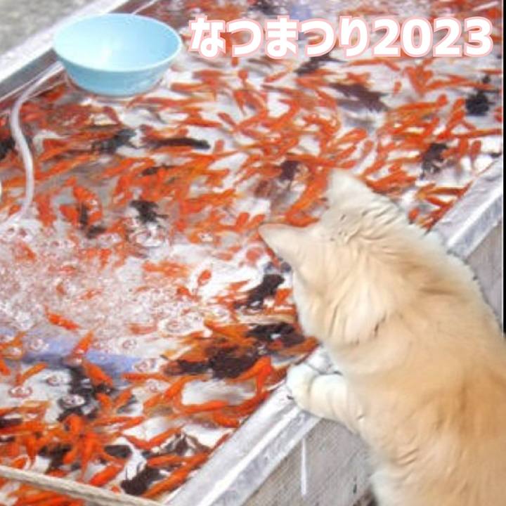 E39e6f57 db87 424e 9dca e4b0e8ca0bbb 1693007428511