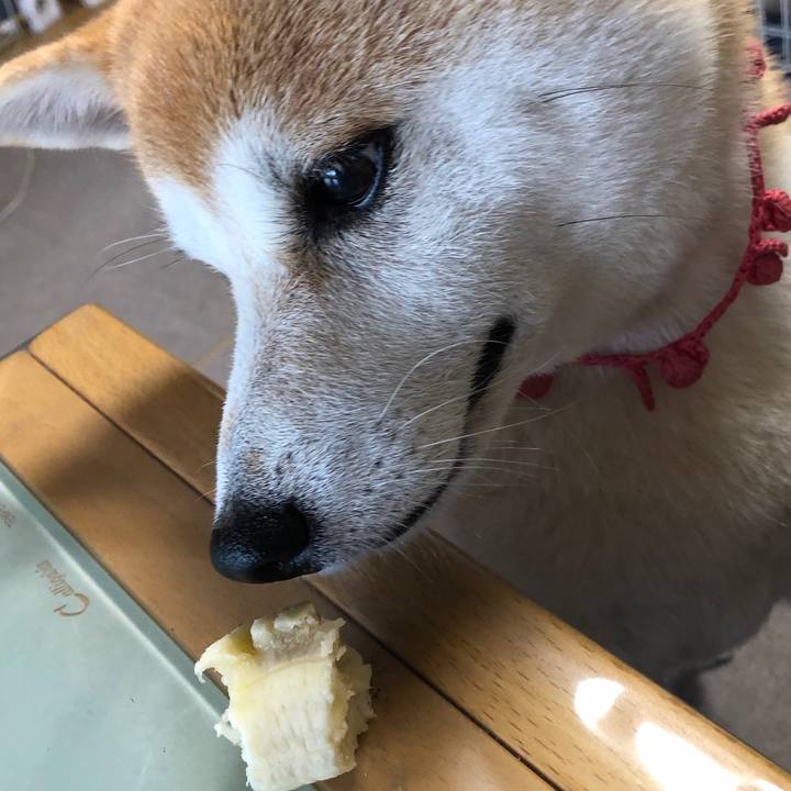 E39e78b8 81f9 499d 8ddc faf084fb734b 1567205324448