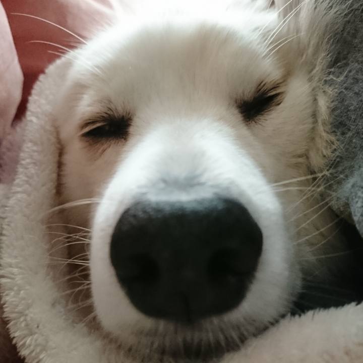 E39e9ed9 6398 4ba9 905e 12e5ddab98fe 1542411183678