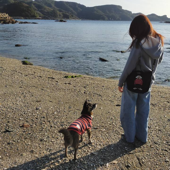 E39ebe4f 7c17 4c72 bc84 14385671dbdf 1609807641822