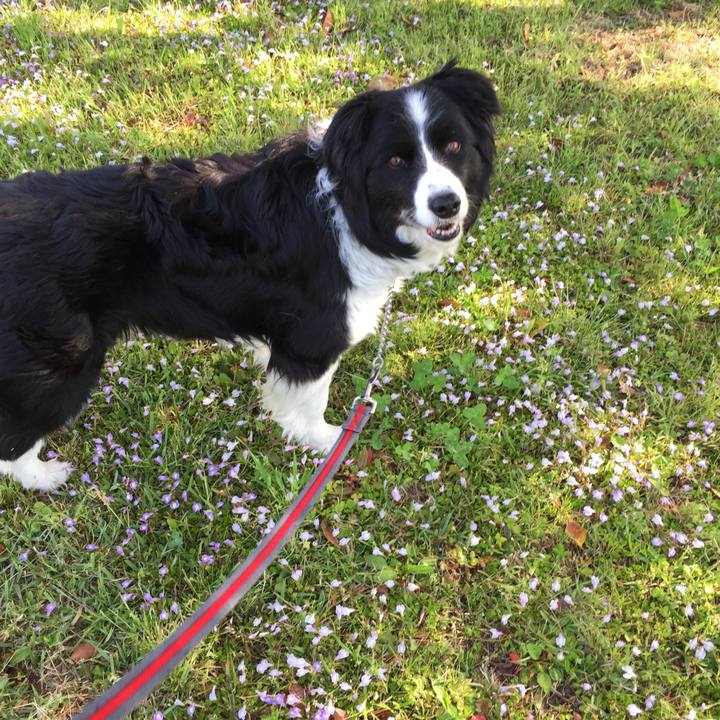 E39ed398 f4e0 4147 97e9 07c7c329a52f 1555547283238