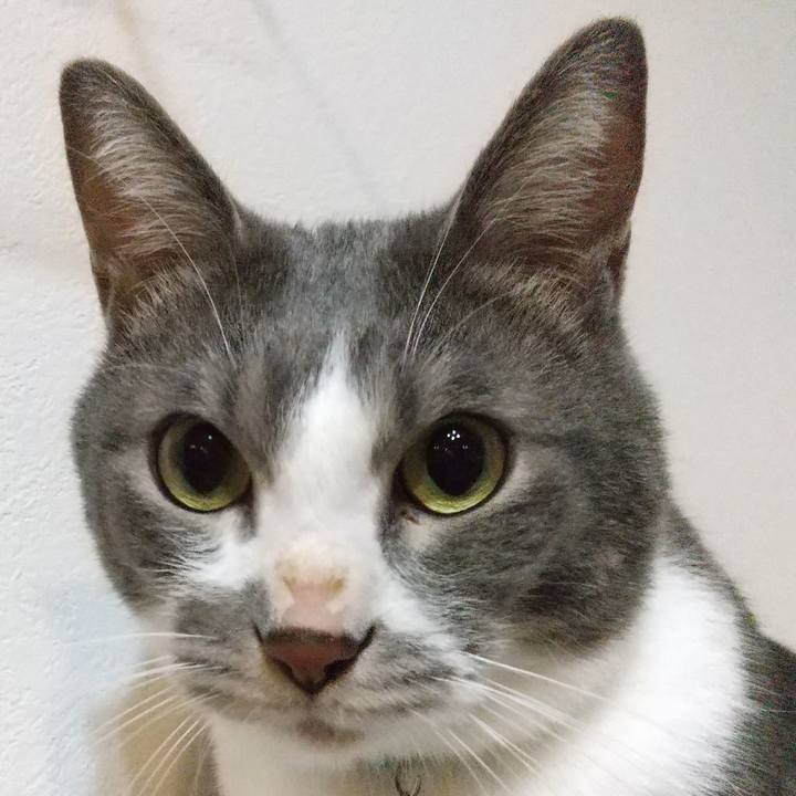 E39f669e cec8 4cb2 b28b a8ab367aba36 1634986446493