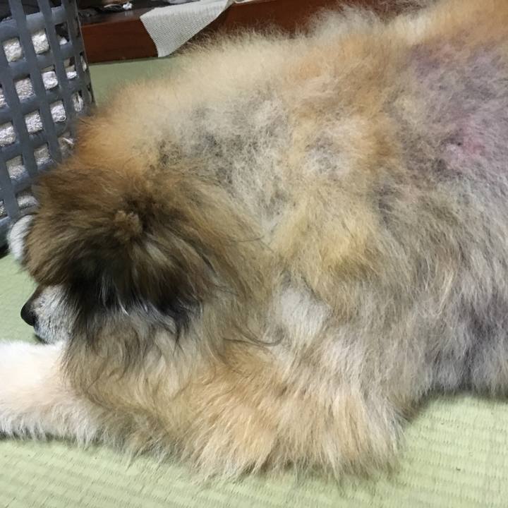 E39f8f92 17a7 407f 9a11 e47a82e70b91 1598448792005