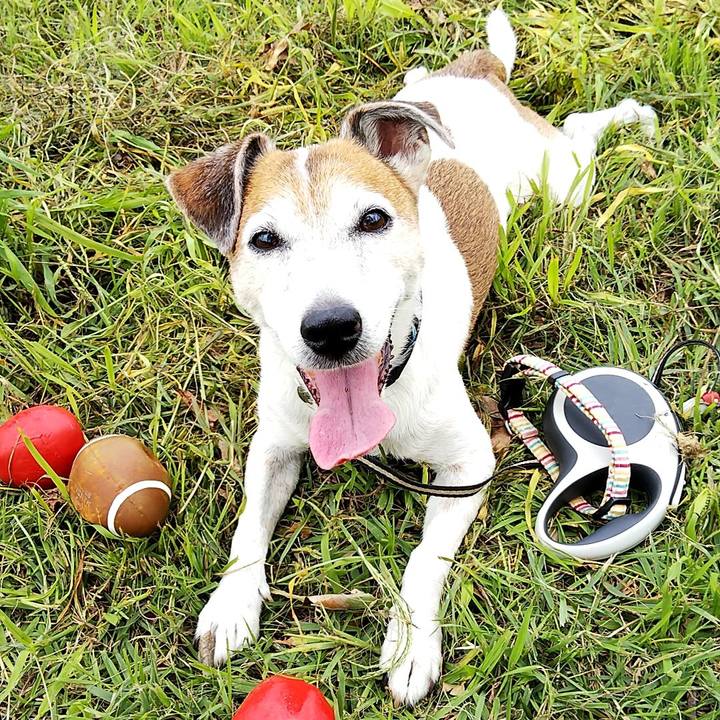 E39fa80b e4f3 401d 8e6c 933e27f6be7f 1537082227254