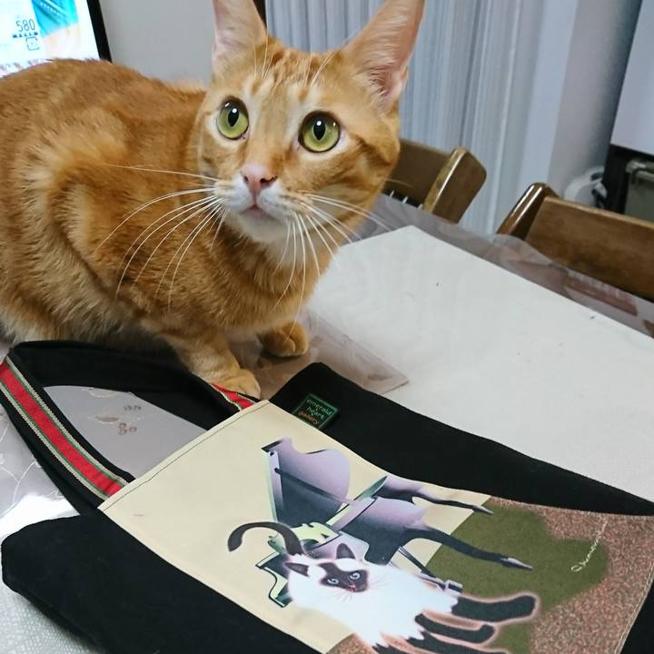 E39fc04b 3d9a 4d6d b5f4 80ba3920c74e 1511995027213