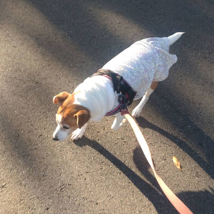 E39fe4e9 c399 4d02 af58 bd9cb11c6210 1761609725077