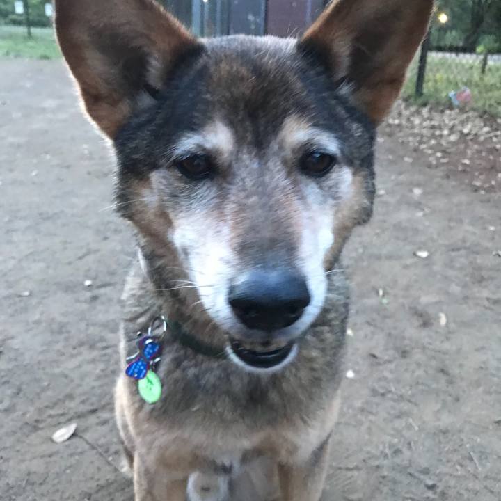 E3a00bfb 787c 4c94 bcbf 50fca8876268 1525514790213