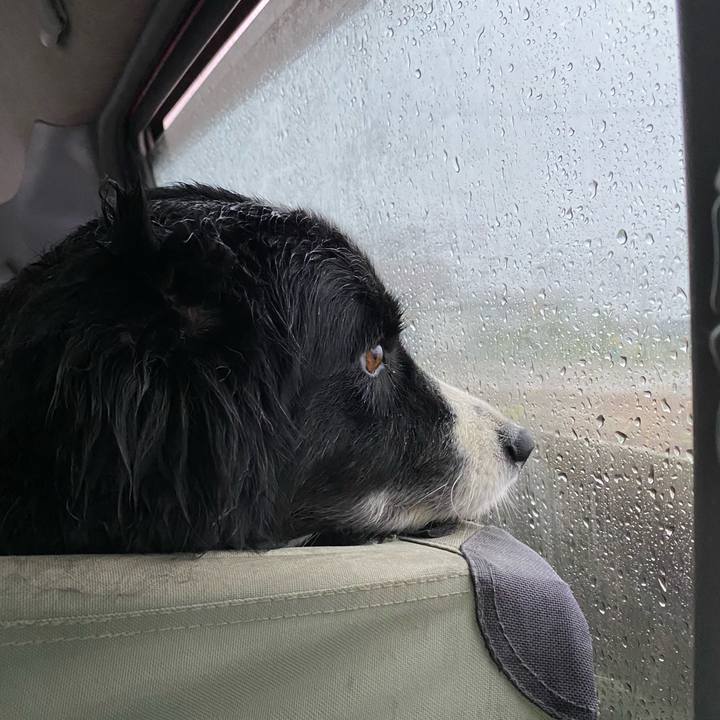 E3a02a93 cc06 493c 8d29 d45cbf68c210 1591826887940