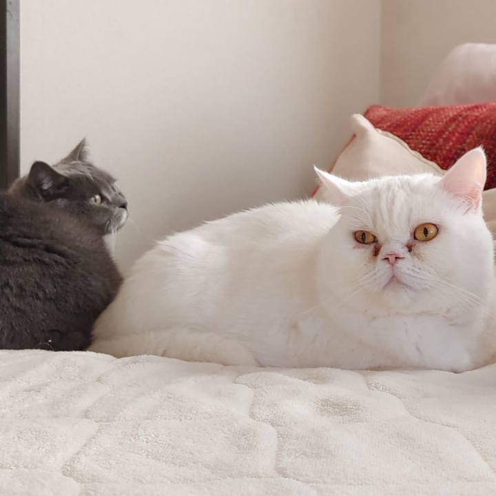 E3a042fb 8101 4b76 9fb7 99629388a338 1672527159432