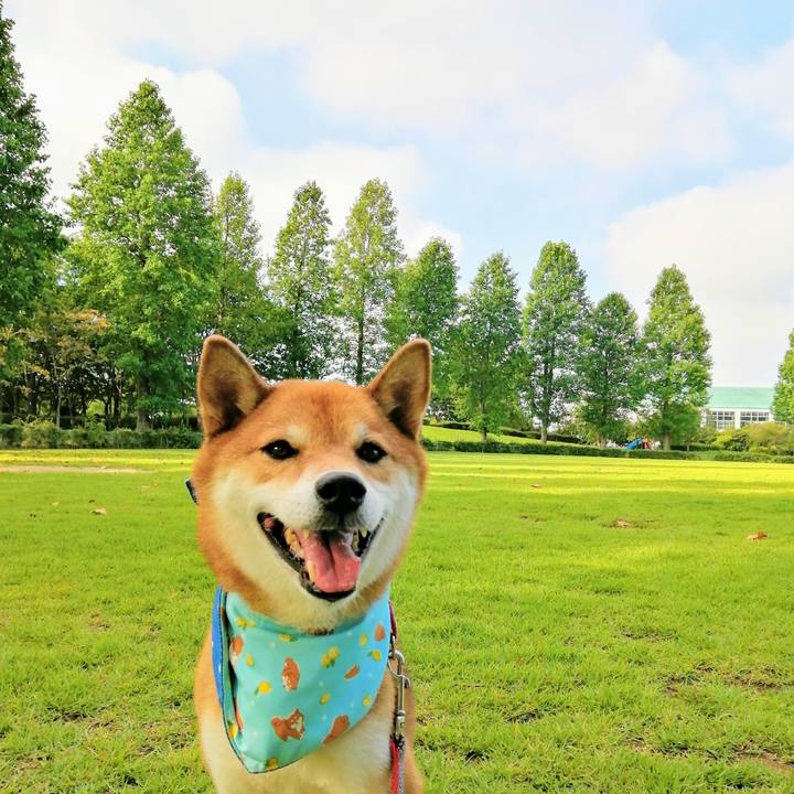 E3a089d7 c691 4349 a8b3 3076ee2aaa3b 1597877850231