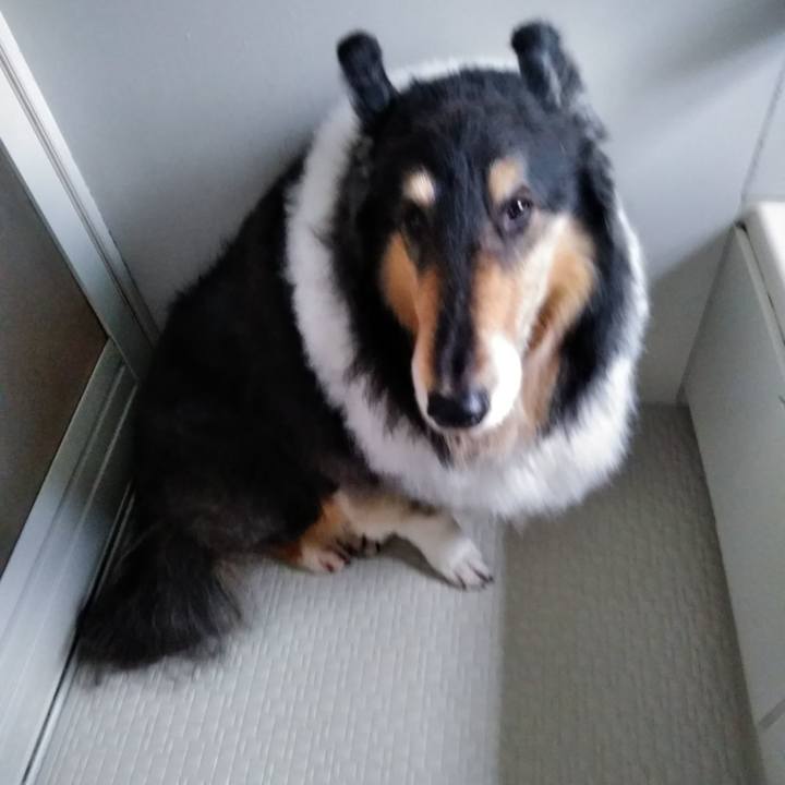 E3a0b9e8 b390 4c72 a56c 4863911946fc 1522157446840