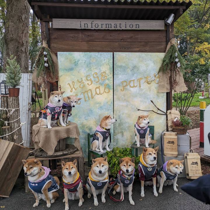 E3a0f337 f7bc 45f1 b545 af6c7870ee74 1701064777989