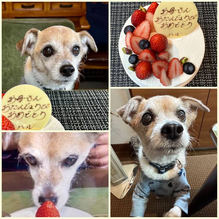 E3a0f7ab 33e9 4814 9a5c 924b12822382 1681540205908