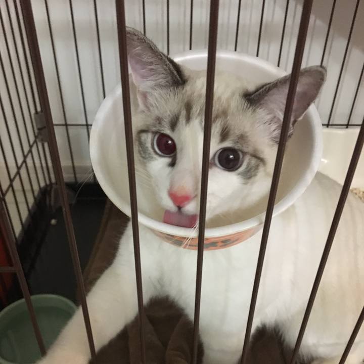 E3a0fc42 235c 444f a119 e4c416458f0a 1514032670176