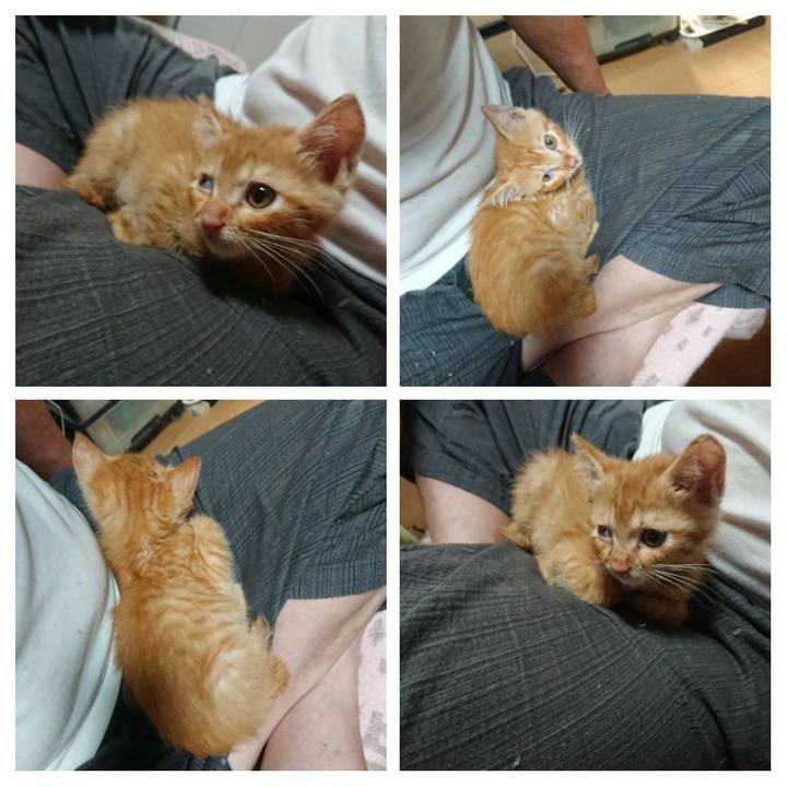 E3a148a6 2823 46c0 a236 7ab7c1486aea 1627781060280