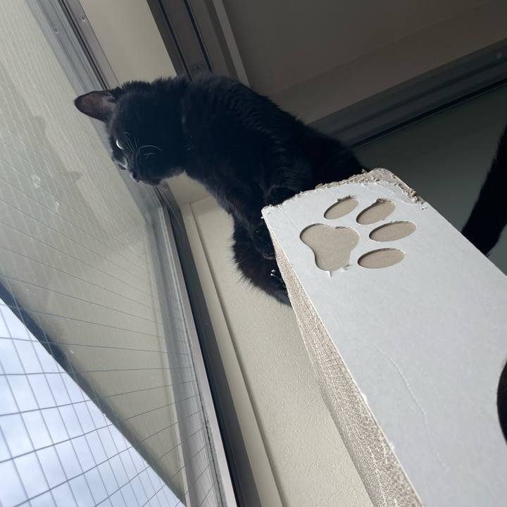 E3a1703f 25e2 4ee2 82d7 802b9e5dc5ad 1643105020643