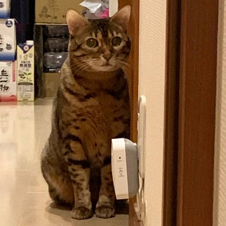 E3a1f21c 9818 4125 93df 8711f9659c5a 1619127744326