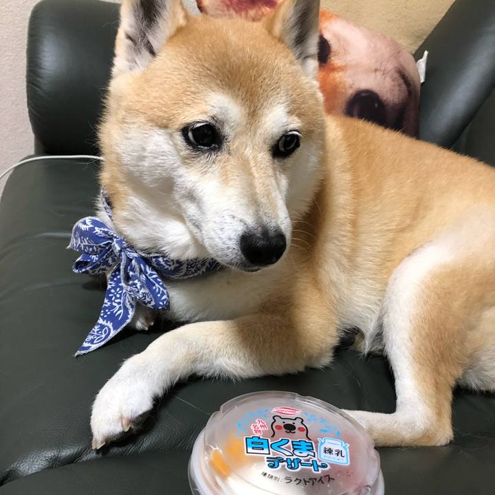 E3a1fc82 2e15 4bba be33 d97d4c5169fd 1599043766632