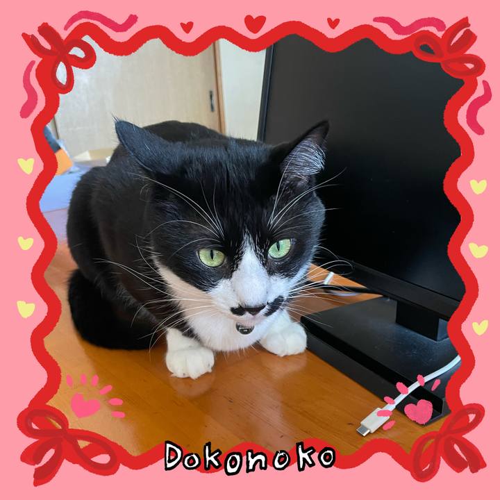 E3a204b2 4349 4ab0 9942 eaa0521ee950 1706925305457