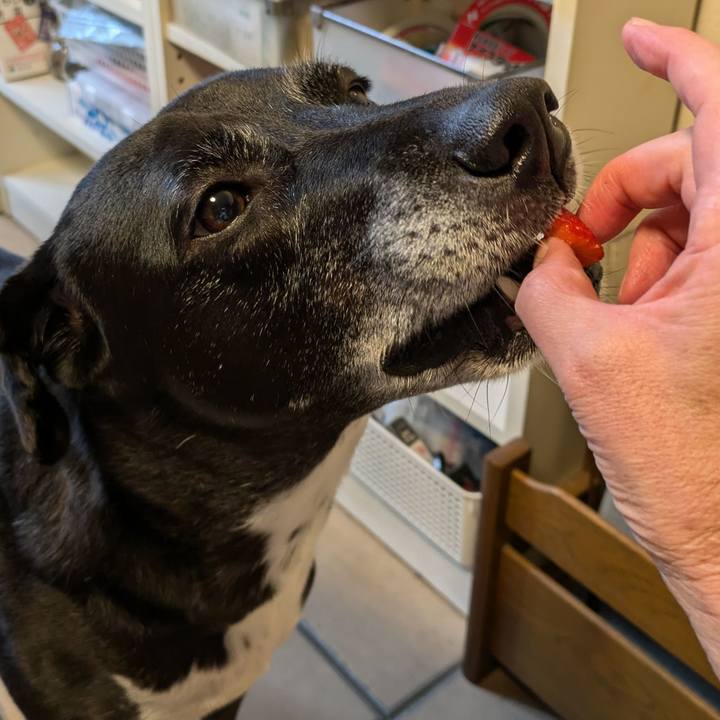 E3a236bd 8b16 48da b856 3c71ae98b52d 1728385651619