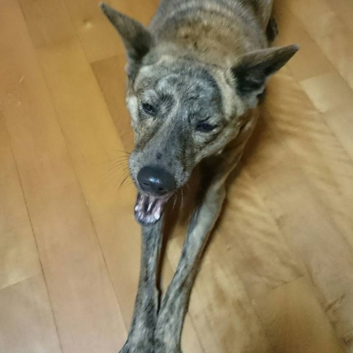 E3a23833 79d8 4b01 bca8 f6743bf0d64f 1514006239720