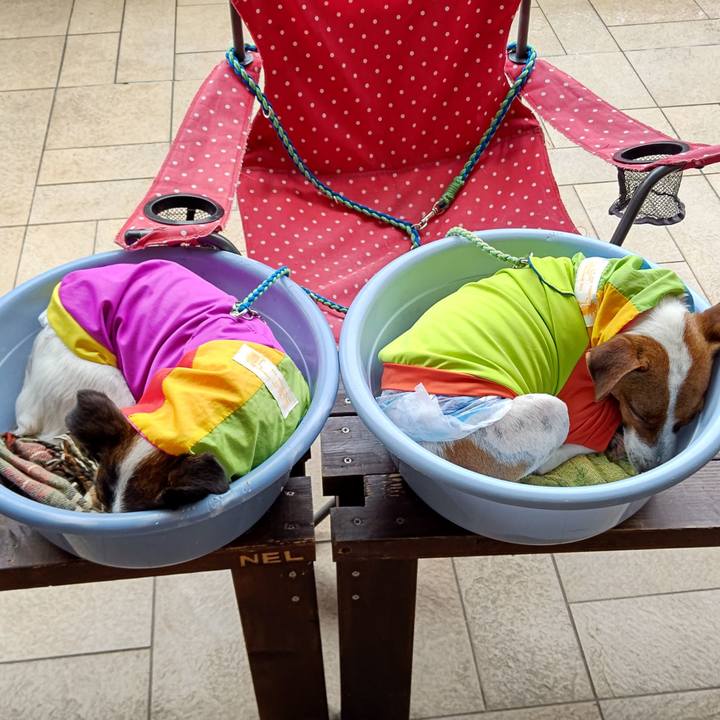 E3a239b3 dee7 40a3 b31a 172cd5e4b625 1621493371570