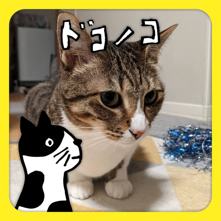 E3a24b05 15b4 45b9 b3ad 8ae2c004d2e3 1622985289562