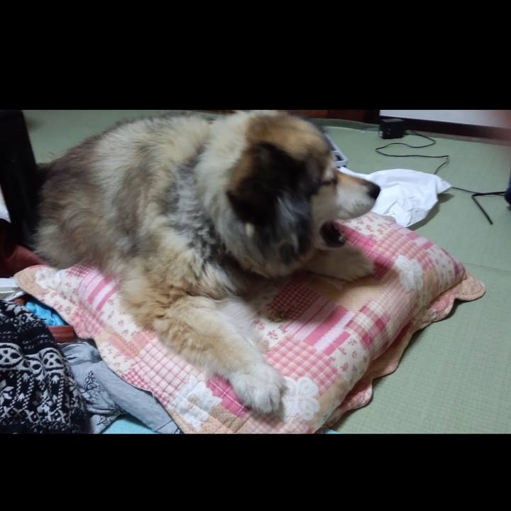 E3a24b5f 43ba 409f bbcb e235df3ad786 1579559958222