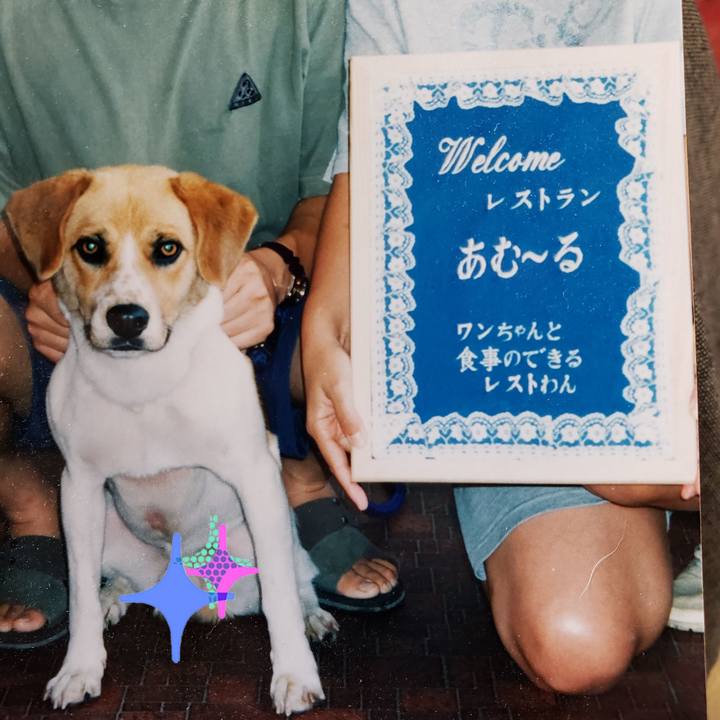 E3a25f56 ba25 440a 9c23 8fa2a73eedc7 1565611831863