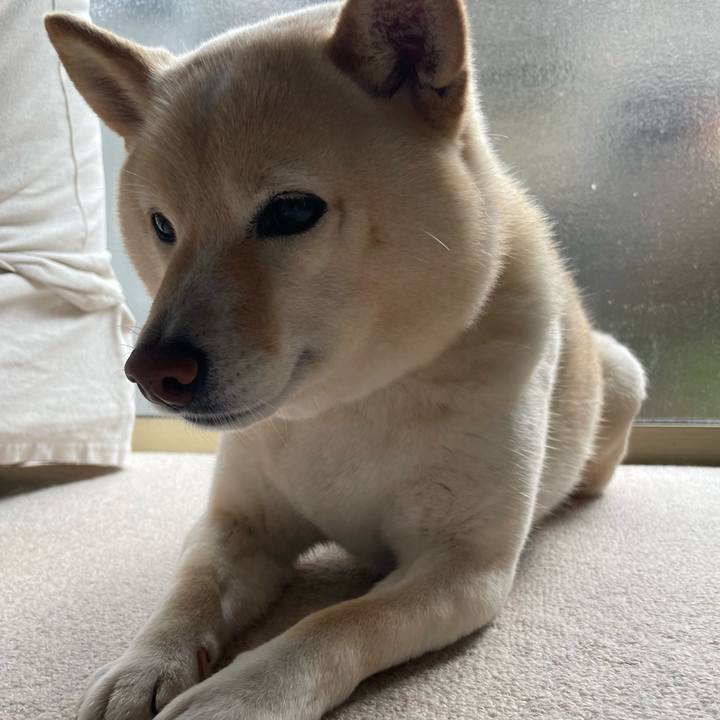 E3a2749c 0d4c 4214 87e1 60d142e95440 1709176850571