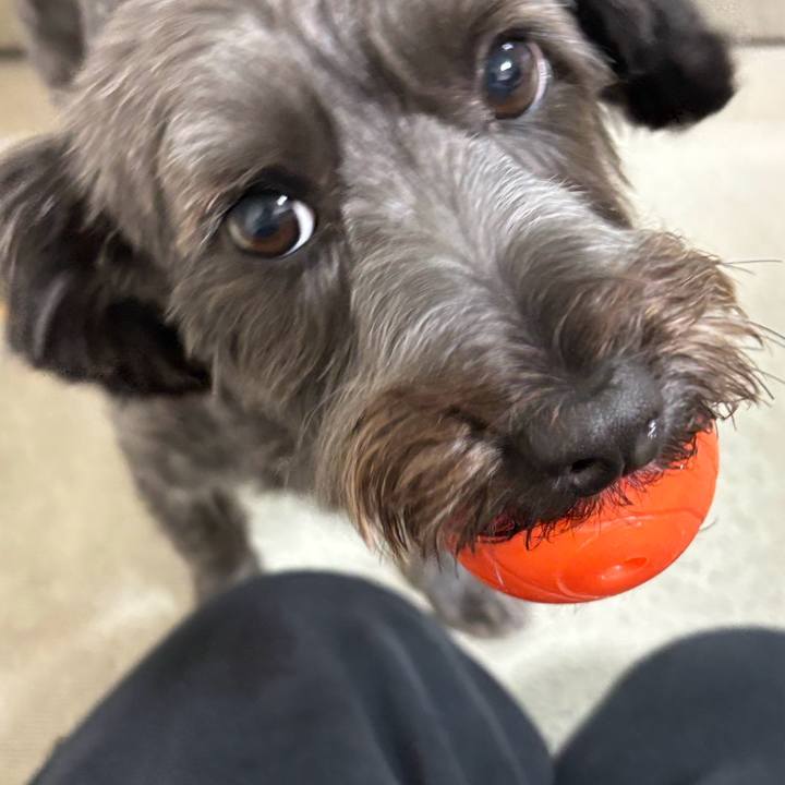 E3a2a87a 624d 486c ab8e 3b2bd128072f 1760967114470