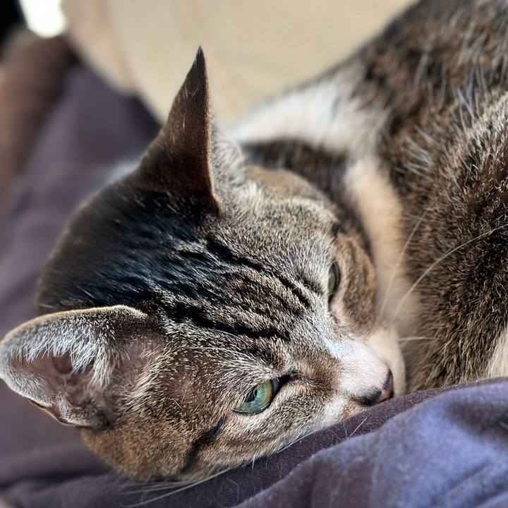 E3a2e169 4b82 4671 b973 ea81f15494a2 1670726223531