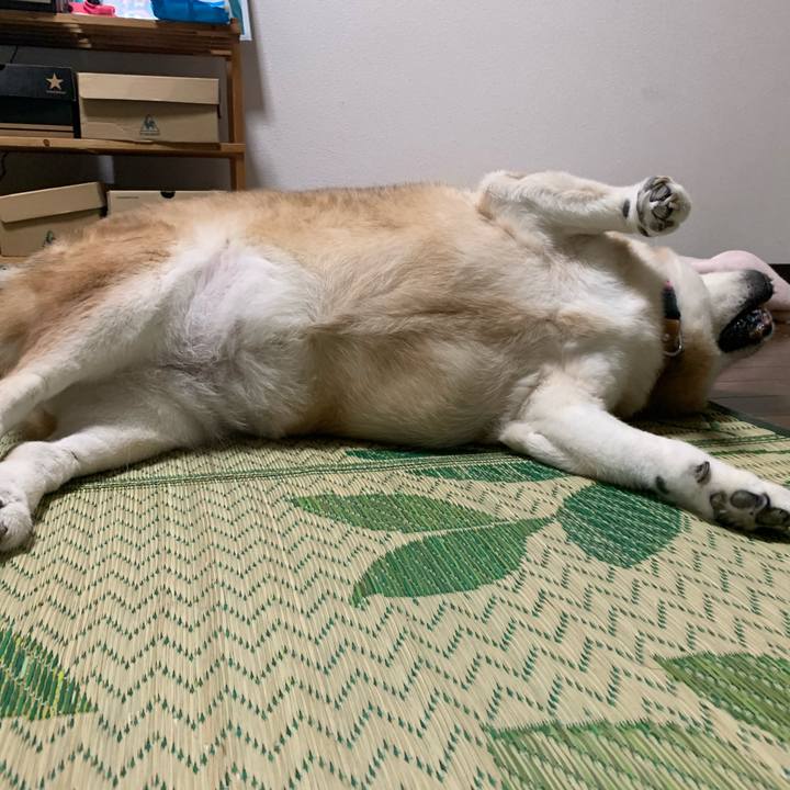 E3a360d7 4449 4ea8 b3f8 83a79bafc001 1625920529255