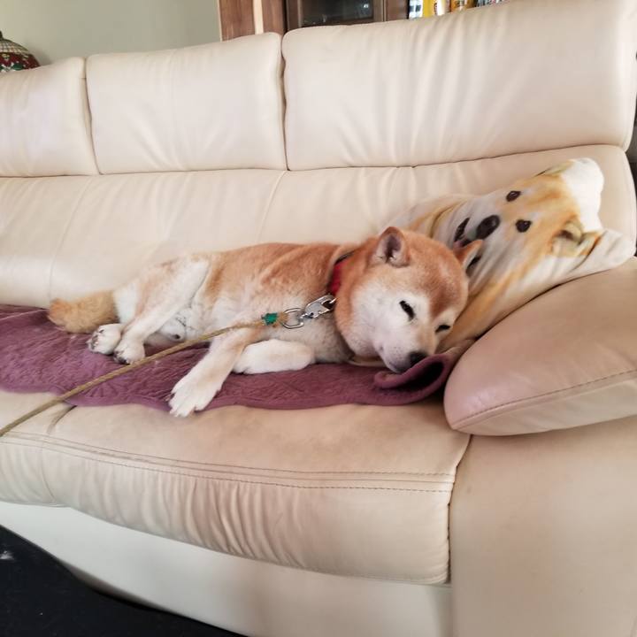 E3a37582 972b 496b 943a e6d769a1452c 1718233443297