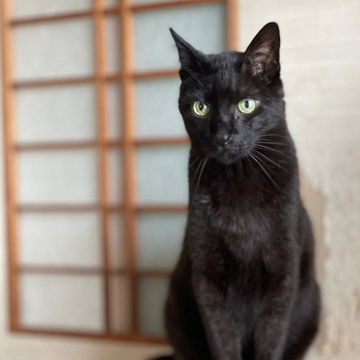 E3a37b90 811f 445d 9631 b30298ddc153 1657851569916