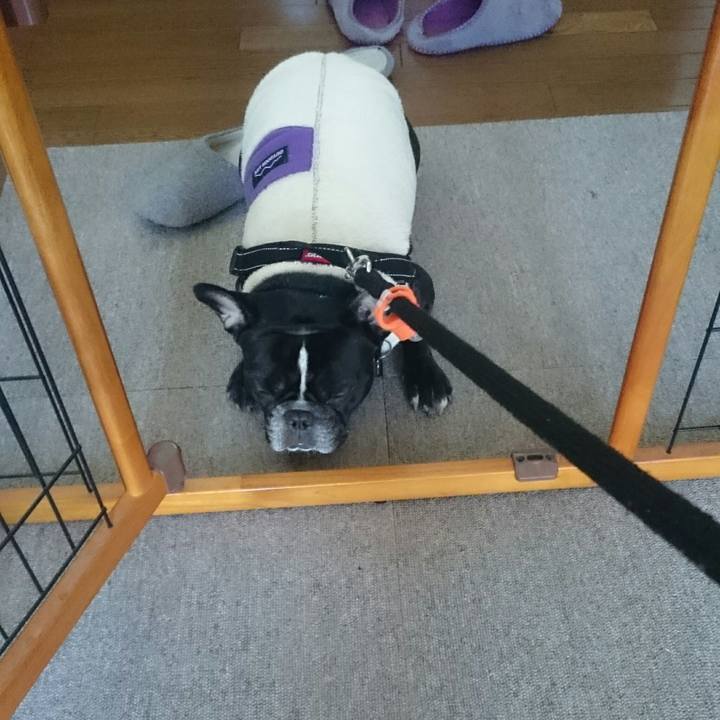 E3a39464 b943 4f66 b0d7 ad03555da980 1516668626967