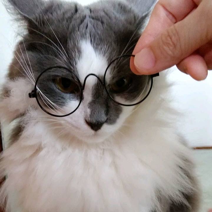 E3a3b3cb 7b0e 49f5 a4a7 fcbbf4255f1c 1595143678120