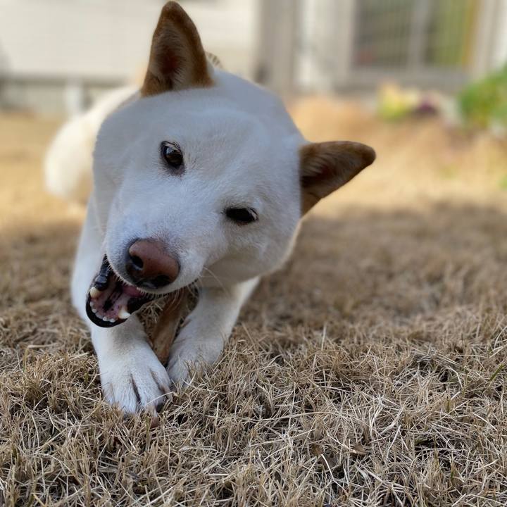 E3a3b849 c3a8 44a2 a998 e7f312f440ff 1613173603114