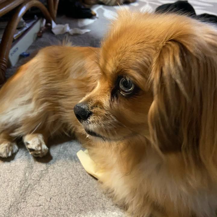 E3a3d00c f2cd 47da 900c c68acc3b7318 1585519913880