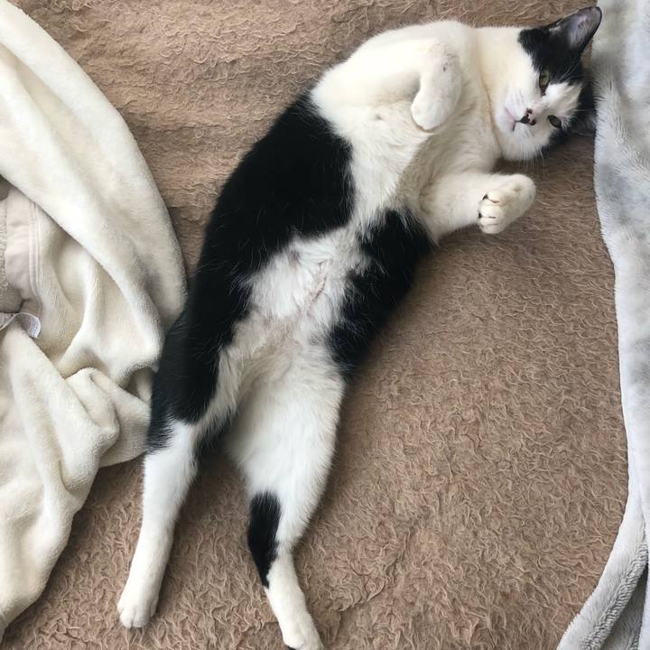 E3a3f38c 2634 4158 b9d5 290ef67a8533 1552793744012