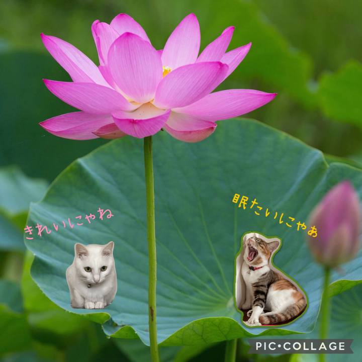 E3a443ca 0252 45ce a376 33452c6a8ce9 1657562670545