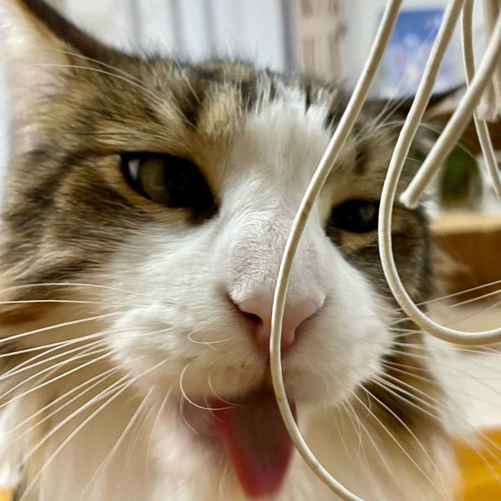 E3a44931 4f9b 4c4e 98c0 ad91d8c5f1f4 1671832586573