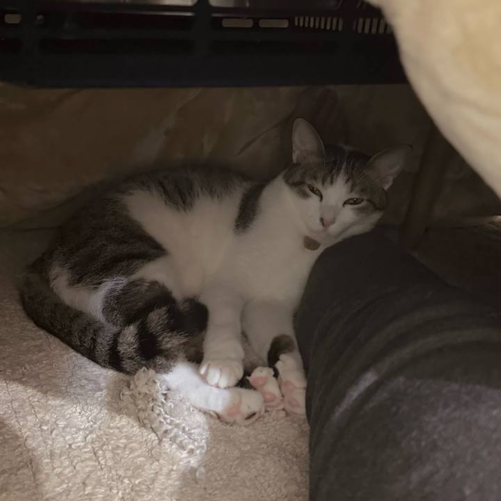 E3a47e3b 9093 4d74 971a 287e7751cf55 1763291062465