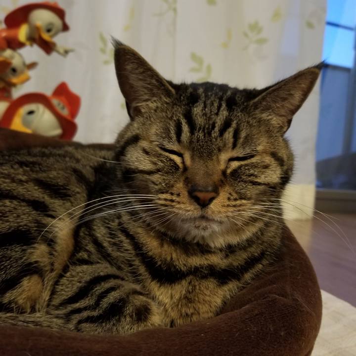 E3a4870d 5b77 40e3 a4a5 9a97dcfdc6aa 1610228202237