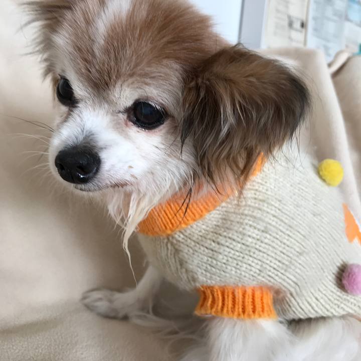 E3a4bc1f 7951 45ff b084 3def924e864a 1516333821828