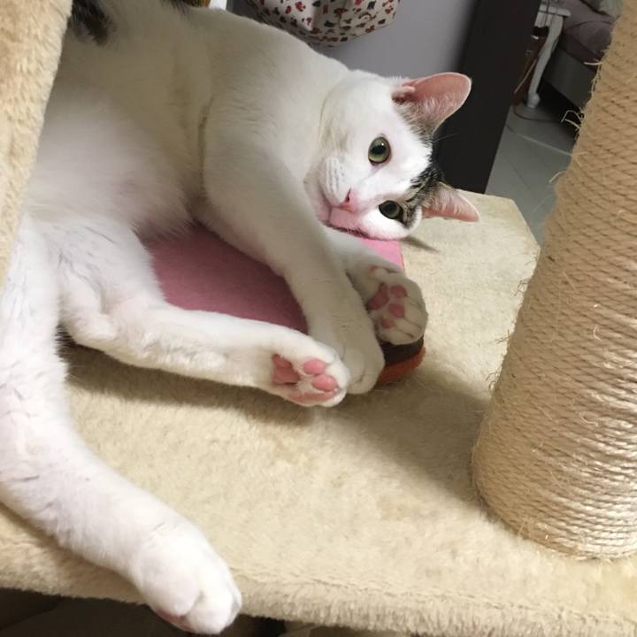 E3a504cf 3a43 4890 aac9 22f7e0b92873 1522637963815