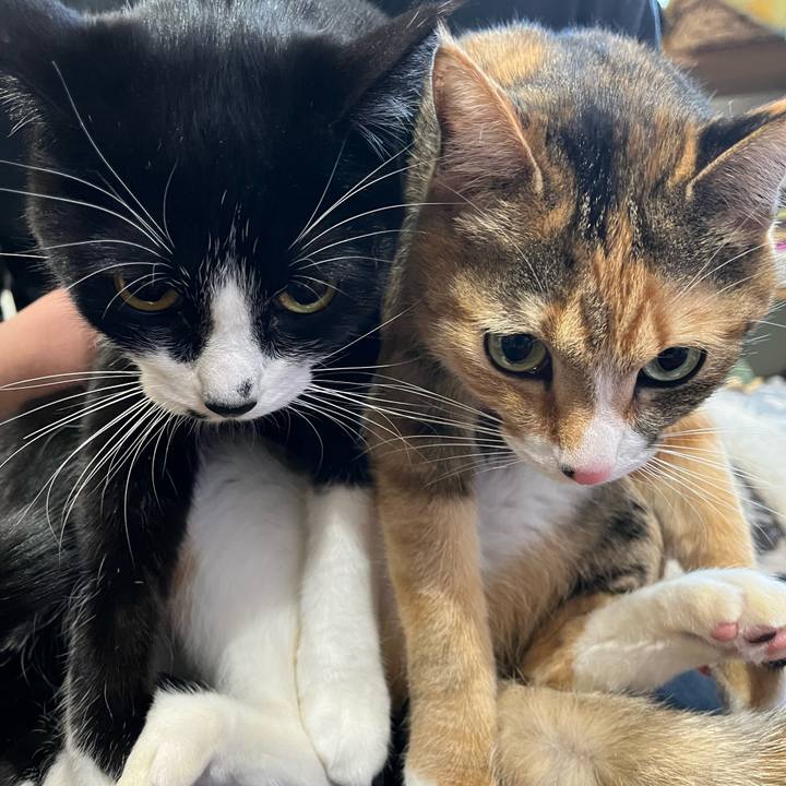 E3a509ff 86c3 4f2b 9775 8a7b183ca054 1644036353365