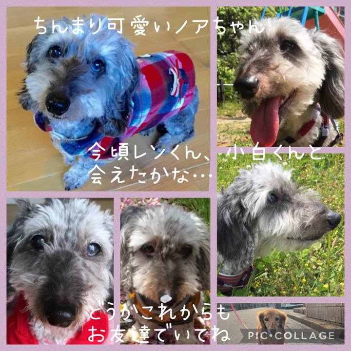 E3a515ea e17b 4610 a5e2 c28db74b0808 1676904854064